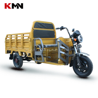 1000W-1500W 60V 72V 3 Wheels Electric Trike Tricycle for Cargo (Et Ld-01)