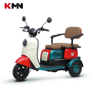Dcbl 650W 60V Three 3 Wheels Electric Tricycles for Passenger (LUCKY)