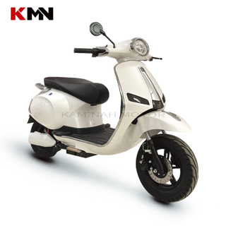 1000W-1500W Lead-Acid Battery 60V 72V Electric Motorcycle Scooter (TSL)