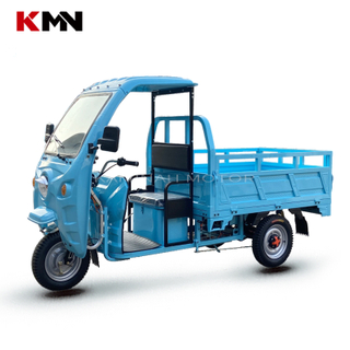1000W-1500W 60V 72V Electric Trike Tricycle for Cargo (Et Ld-02)