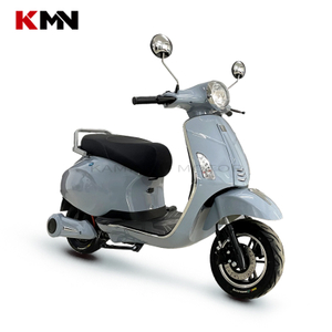 Electric Scooter 60V 20ah 72V 32ah E-Scooter 1000W-1500W Electric Vehicle Electric Motorcycle TSL II