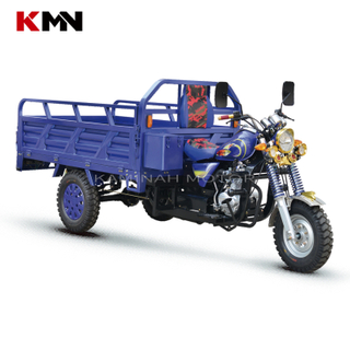 200cc Air Cooling 4 Stroke Gas Gasoline Cargo Tricycle (longbao200cc)