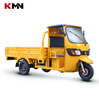 1500W-2000W 60V 72V Electric Trike Tricycle for Cargo (Et Ld-03)