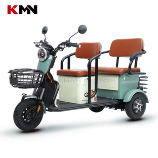Dcbl 800W 60V Three 3 Wheels Electric Tricycles for Passenger (Sparky)