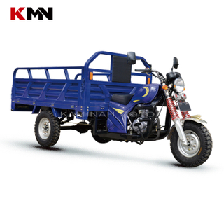 150cc Air Cooling 4 Stroke Gas Gasoline Cargo Tricycle (prince150cc)