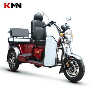 150cc 3 Wheel Gasoline Disabled Handicapped Scooter Tricycle (princess PS150)