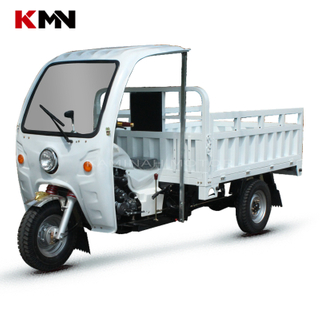 200cc Air Cooling 4 Stroke Gas Gasoline Cargo Tricycle (wuyang200cc)