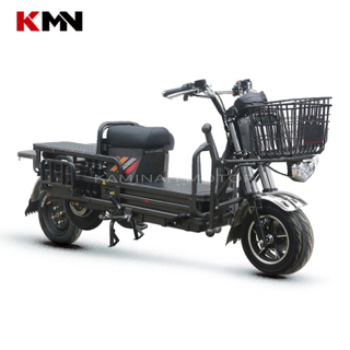 1000W 60V 72V Electric Delivery Vehicle Bike Motorcycle Scooter for Cargo (dpb2)