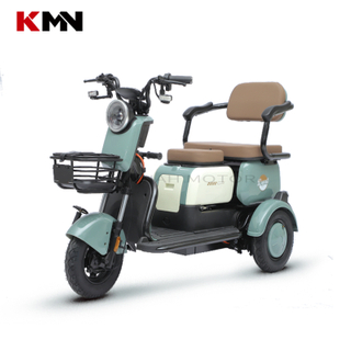 Dcbl 650W 60V Three 3 Wheels Electric Tricycles for Passenger (Happy)