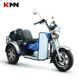110cc 3 Wheel Gasoline Disabled Handicapped Scooter Tricycle (Prince ds110)
