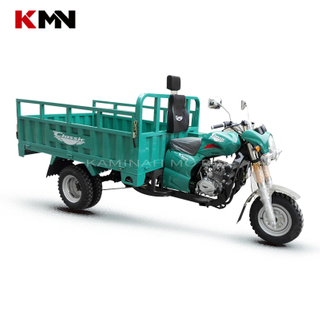 150cc Air Cooling 4 Stroke Gas Gasoline Cargo Tricycle (zh200b)