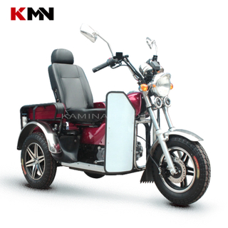 110cc 3 Wheel Gasoline Disabled Handicapped Scooter Tricycle (Prince ss110)