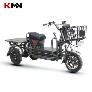 Dcbl 1000W-1500W Lead-Acid Battery 72V Electric Delivery Motorcycle Scooter Tricycle (Dpb3)