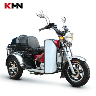 125cc 3 Wheel Gasoline Disabled Handicapped Scooter Tricycle (Prince DS125)