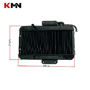 Motorcycle Tricycle Parts Radiator Cooling Water Tank