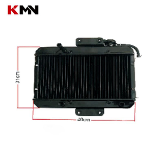 Motorcycle Tricycle Parts Radiator Cooling Water Tank