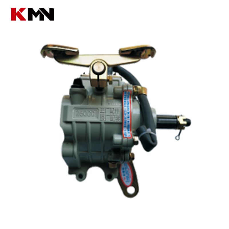 Motorcycle Cargo Tricycle Parts Reverse Gear Box (CA)